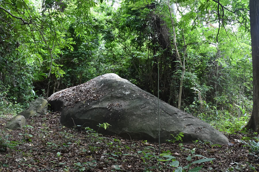RESERVE FORESTAL DE CAVALLY 