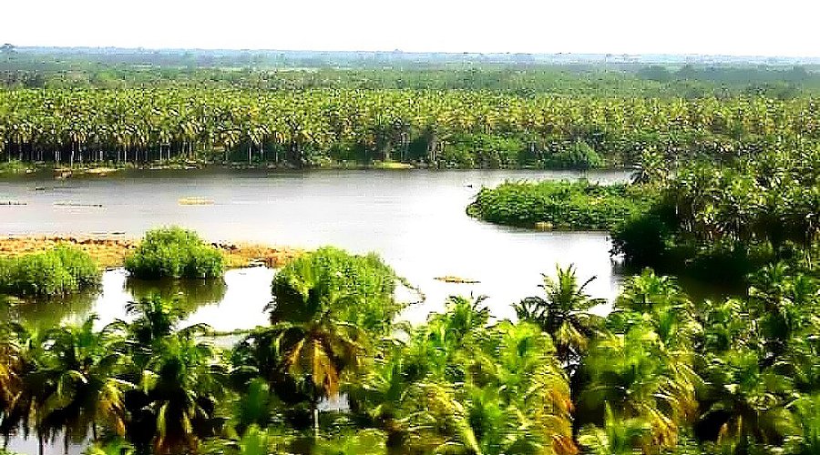 Parc National Des Iles Ehotilé