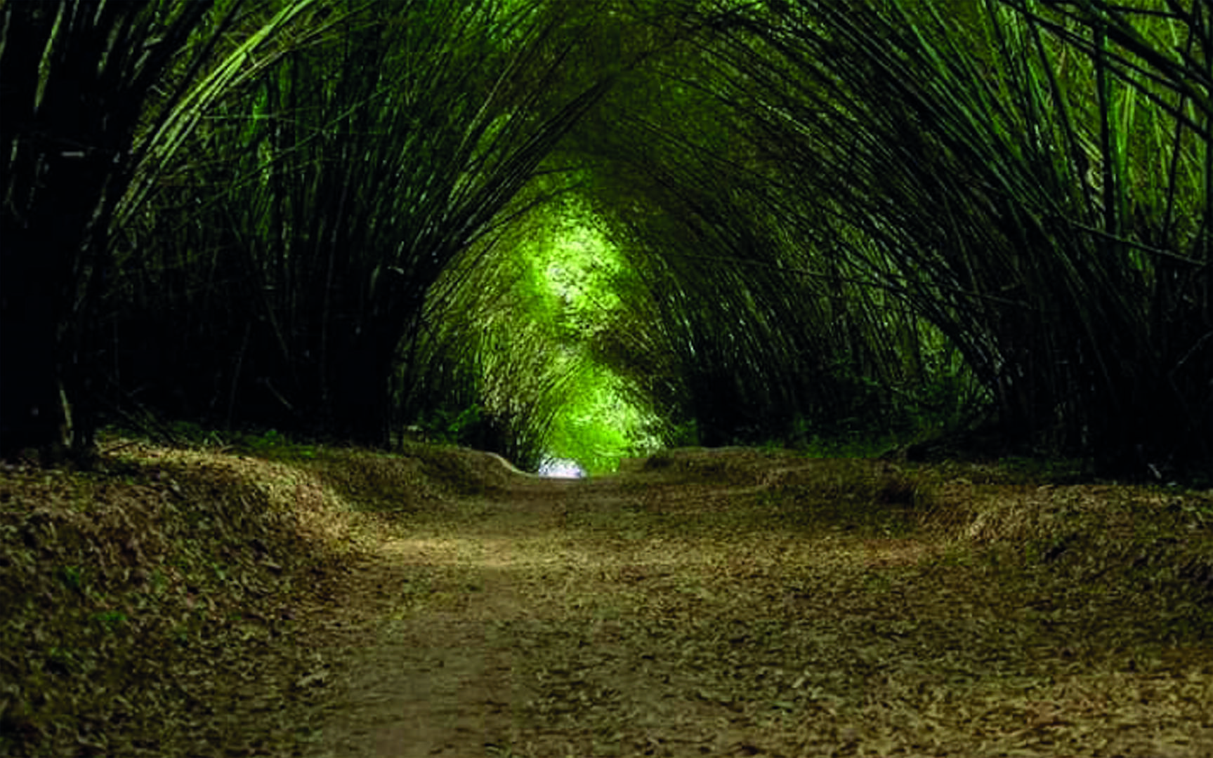 Réserve Naturelle de Dahliafleur